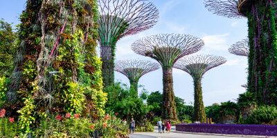 Gardens by the Bay