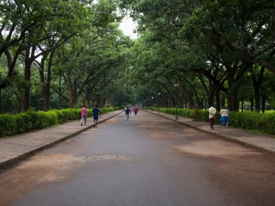 Cubbon Park
