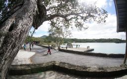 Rangitoto Island - Auckland's youngest volcano with unique lava caves