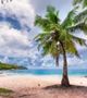 Goa flights