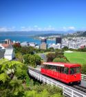 Wellington cityscape