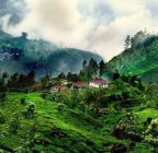 Coorg