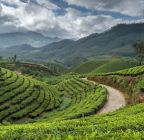 Darjeeling
