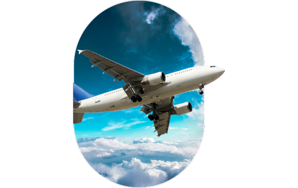 search and book flights